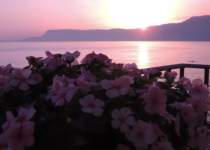 住宿加早餐酒店 拉维度塔住宿加早餐酒店 4*